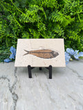 a fossilized fish displayed on a white surface, surrounded by lush green foliage and blue flowers.