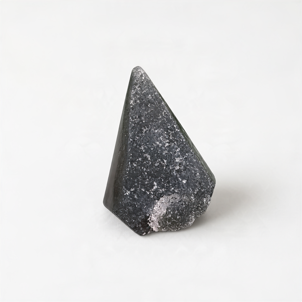 A black, speckled rock is the central focus of the image, set against a plain white background.
