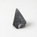 A black, speckled rock is the central focus of the image, set against a plain white background.