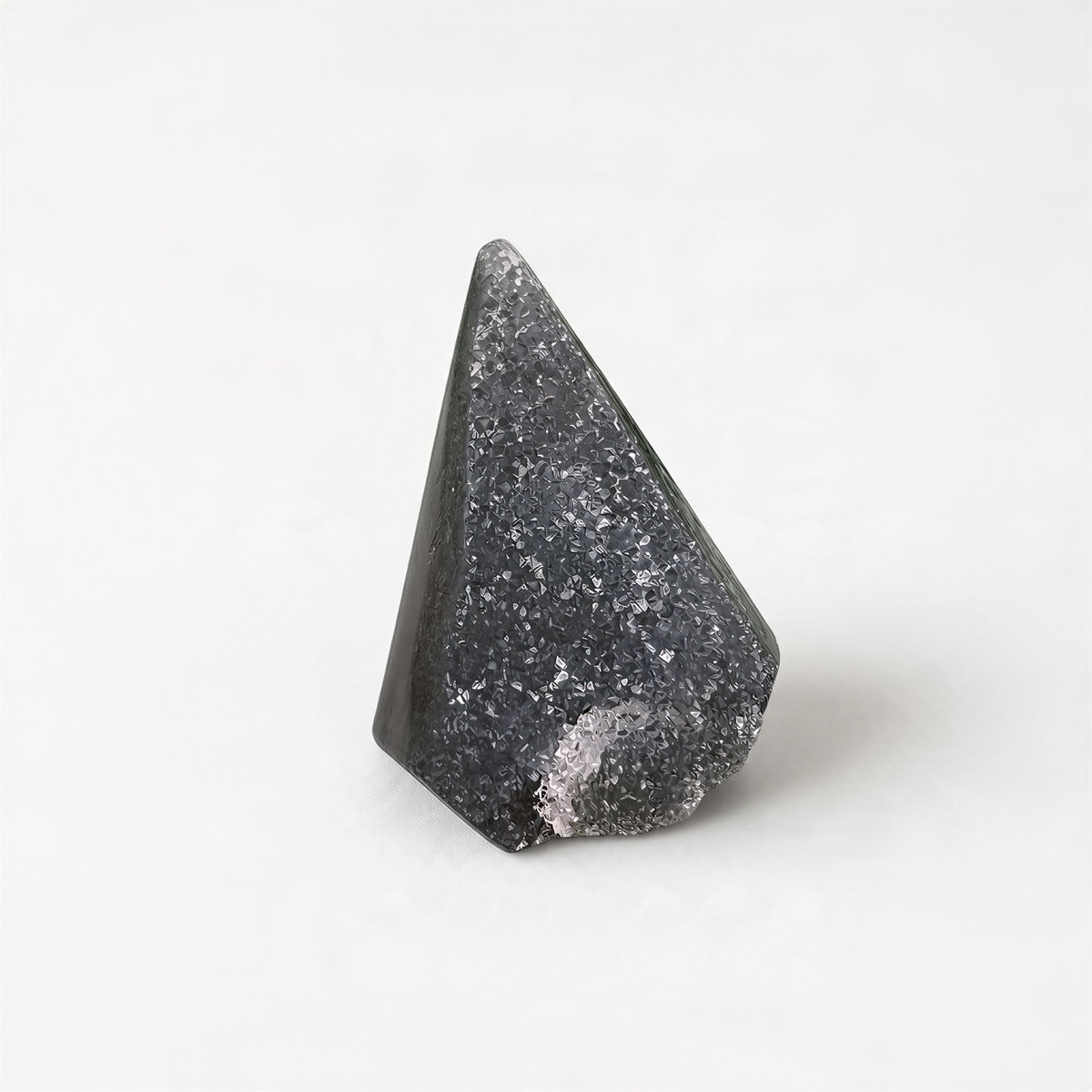 A black, speckled rock is the central focus of the image, set against a plain white background.