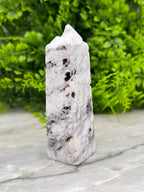 Witte Pluim Agaat toren