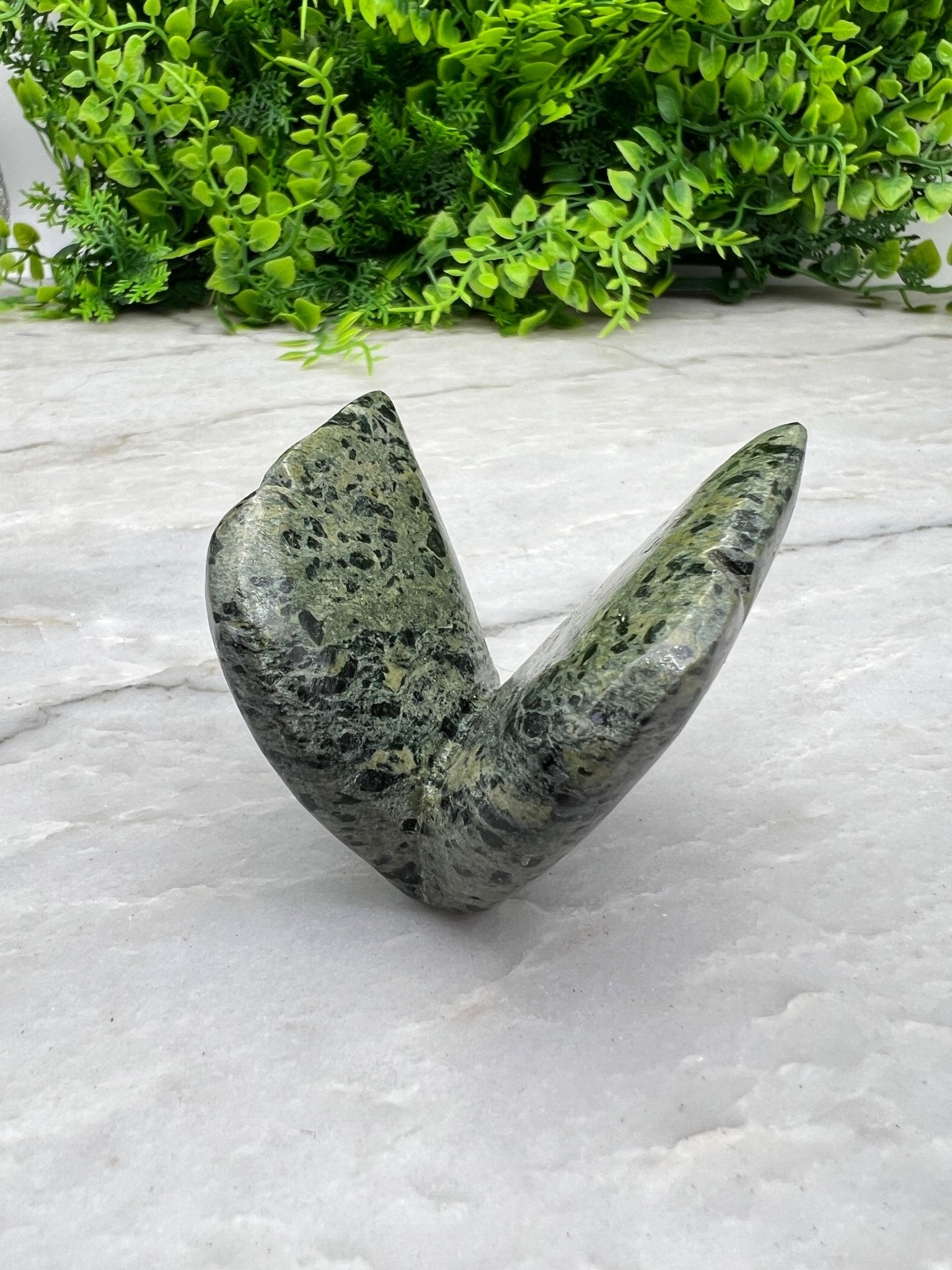 Serpentinen-Schmetterling (5 cm) von KEY LIME STORE