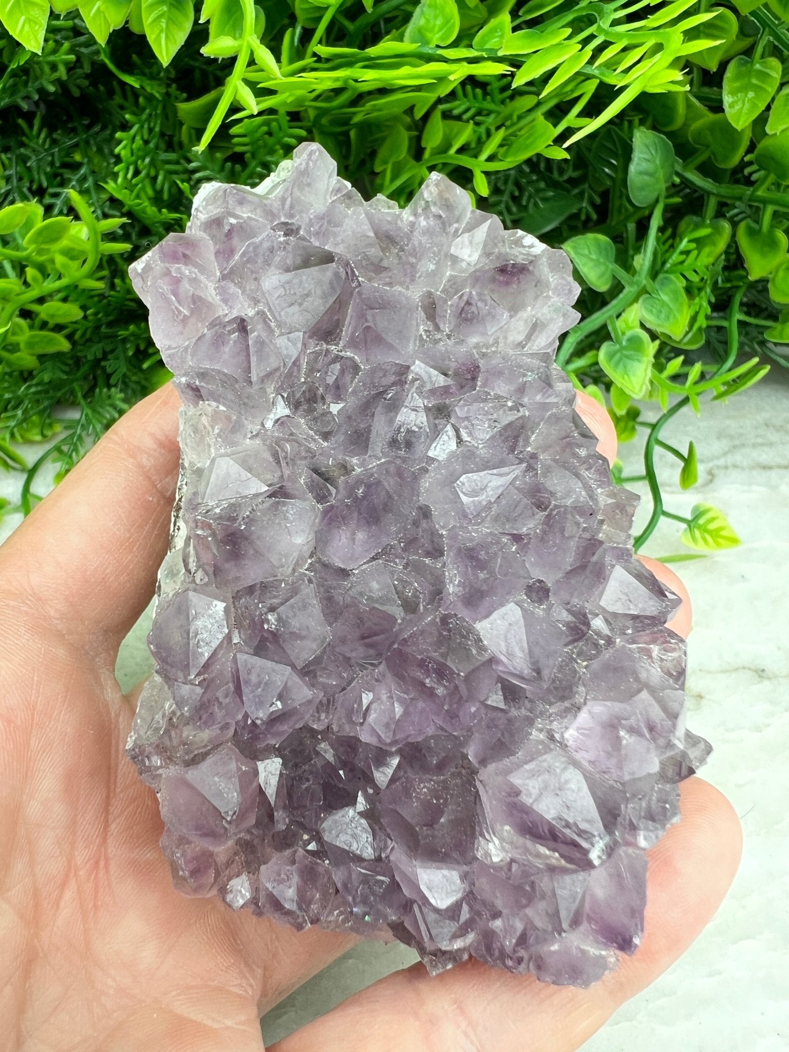 Amethist cluster (9 cm) by KEY LIME STORE