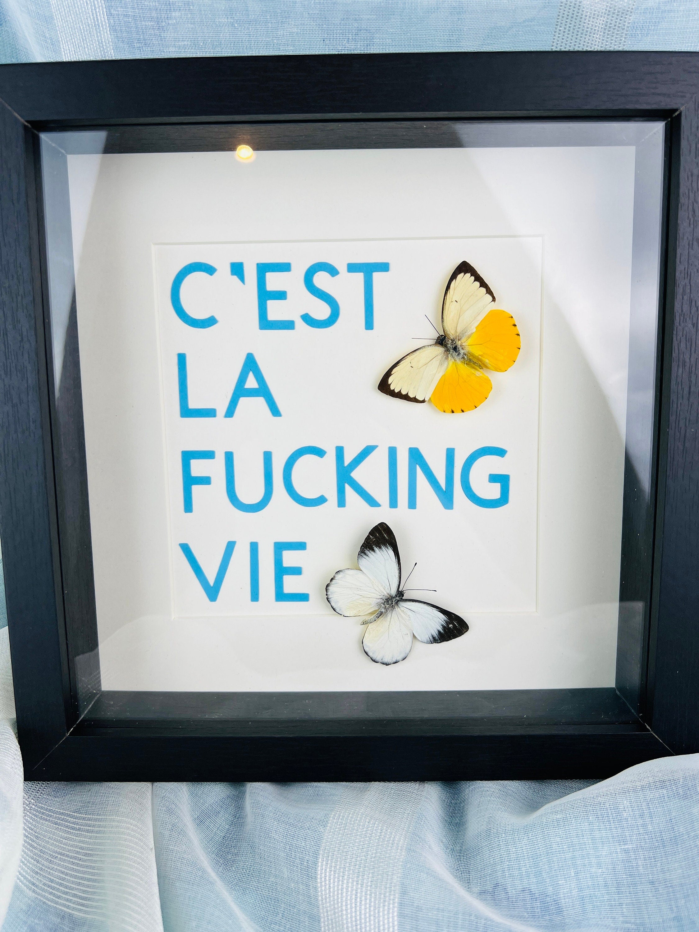 Vlinders met tekst in lijst