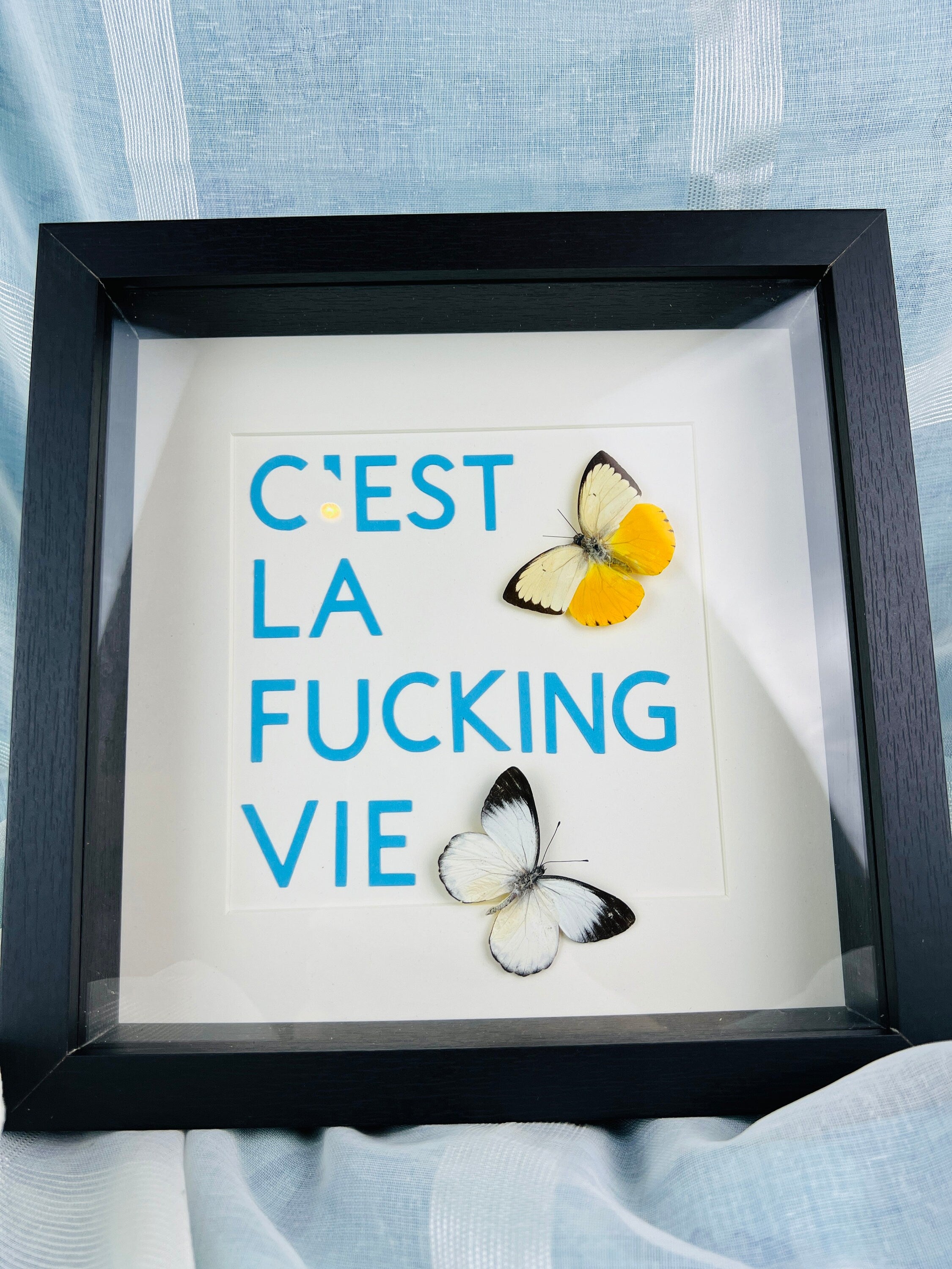 Vlinders met tekst in lijst