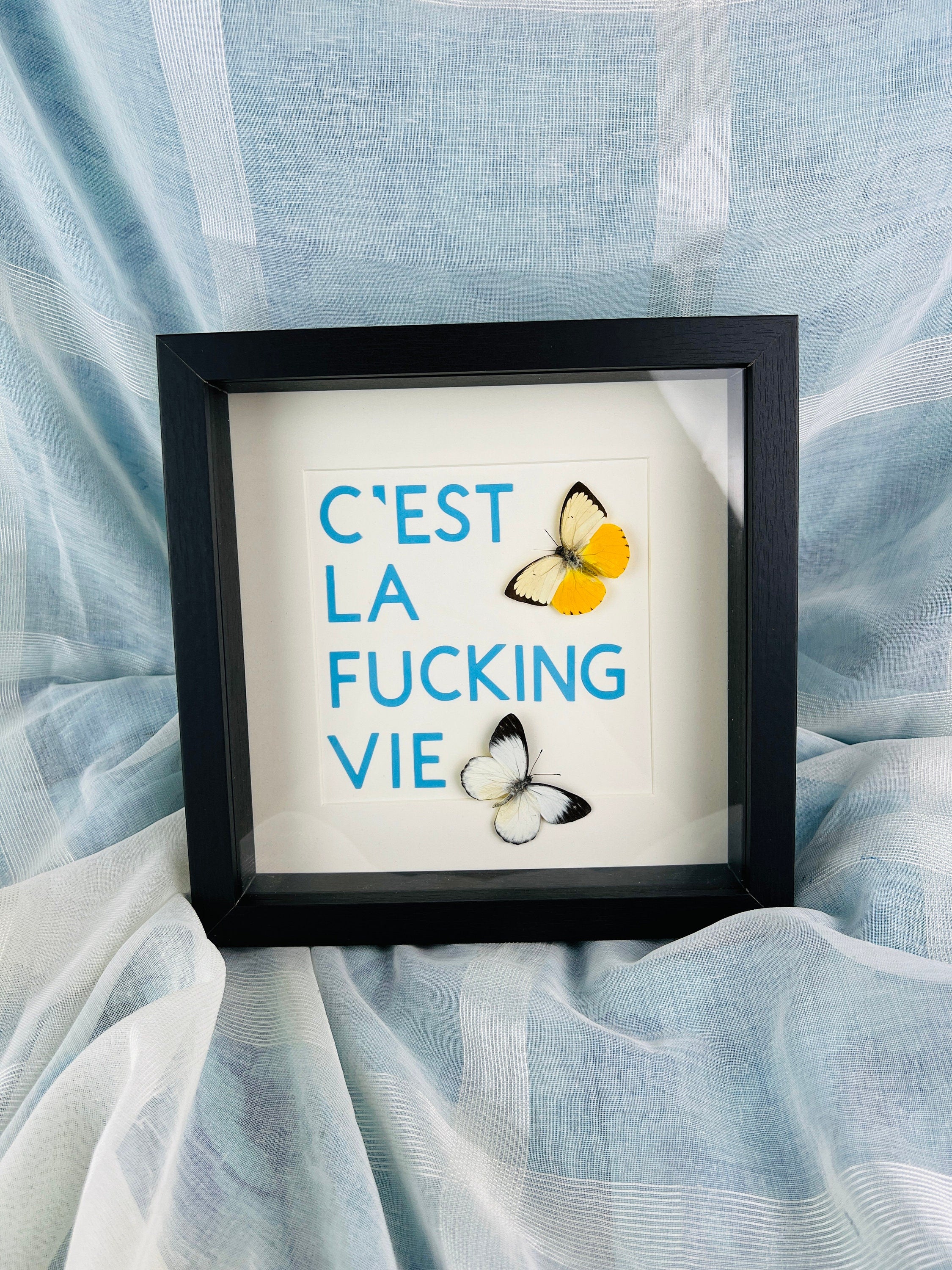 Vlinders met tekst in lijst