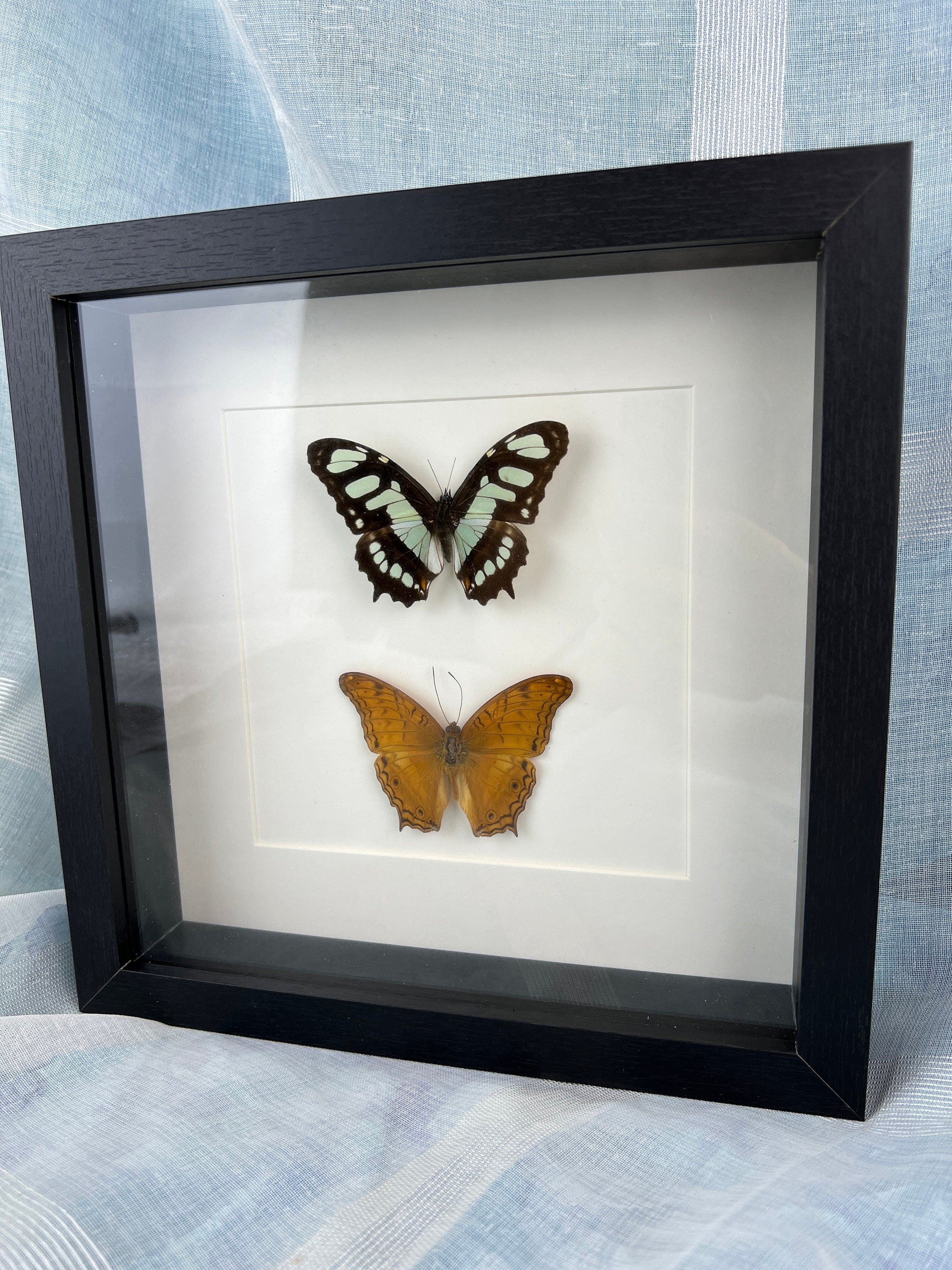 Victoria Stelenes und Vindula Dejone im Rahmen