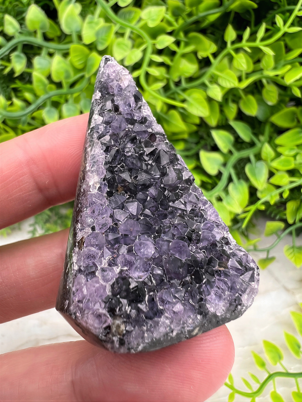 A hand is holding a piece of amethyst, a purple crystal, against a backdrop of green foliage.
