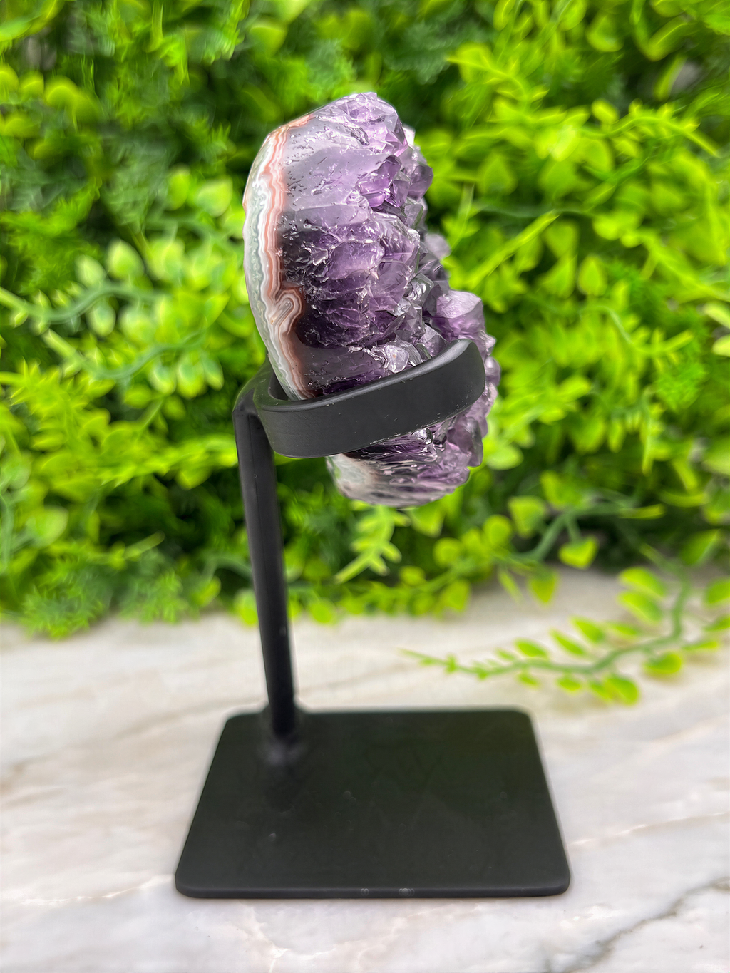 A purple amethyst crystal is displayed on a black metal stand, set against a backdrop of lush green foliage.