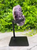 A purple amethyst crystal is displayed on a black metal stand, set against a backdrop of lush green foliage.
