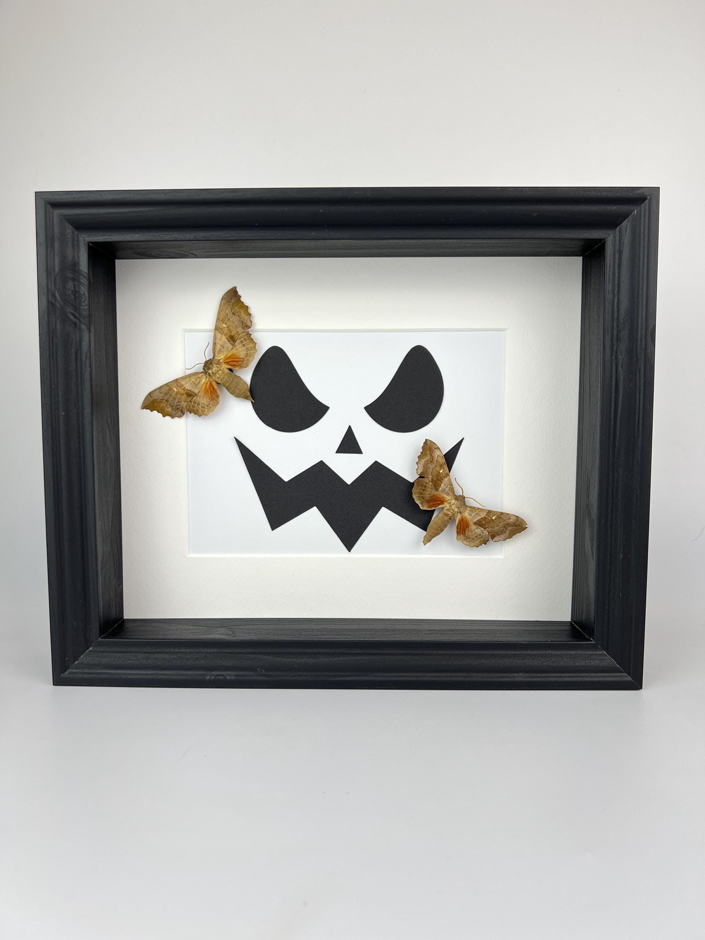 Motten op halloween print in lijst