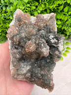 A hand is holding a piece of rock with a variety of colors and textures, set against a backdrop of green foliage.