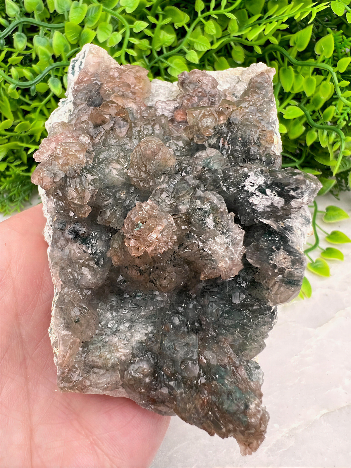 A hand is holding a piece of rock with a variety of colors and textures, set against a backdrop of green foliage.