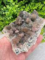A hand is holding a piece of rock with a variety of minerals and crystals visible on its surface, set against a backdrop of green foliage.