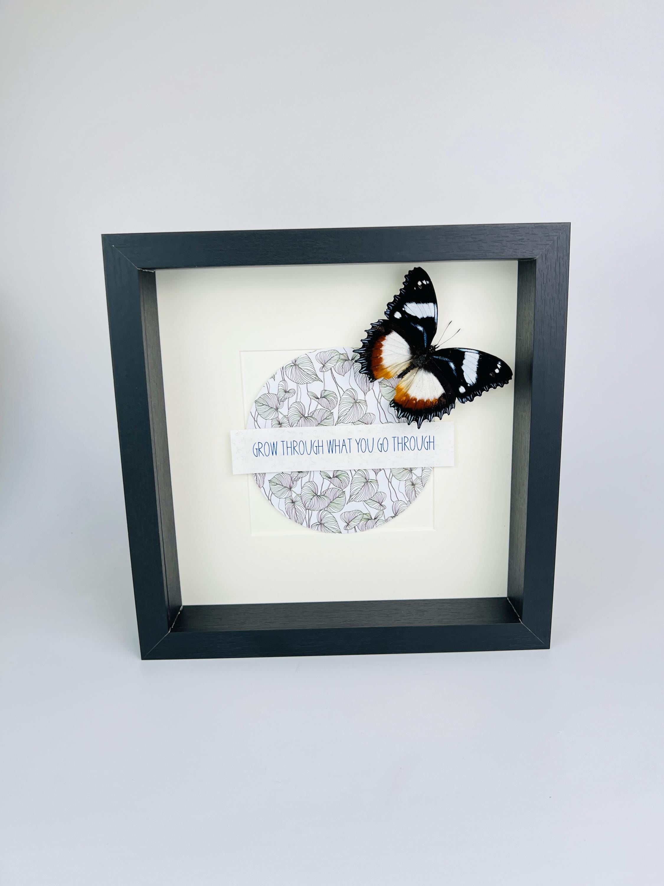 Hypolimnas Dexithea met tekst in lijst