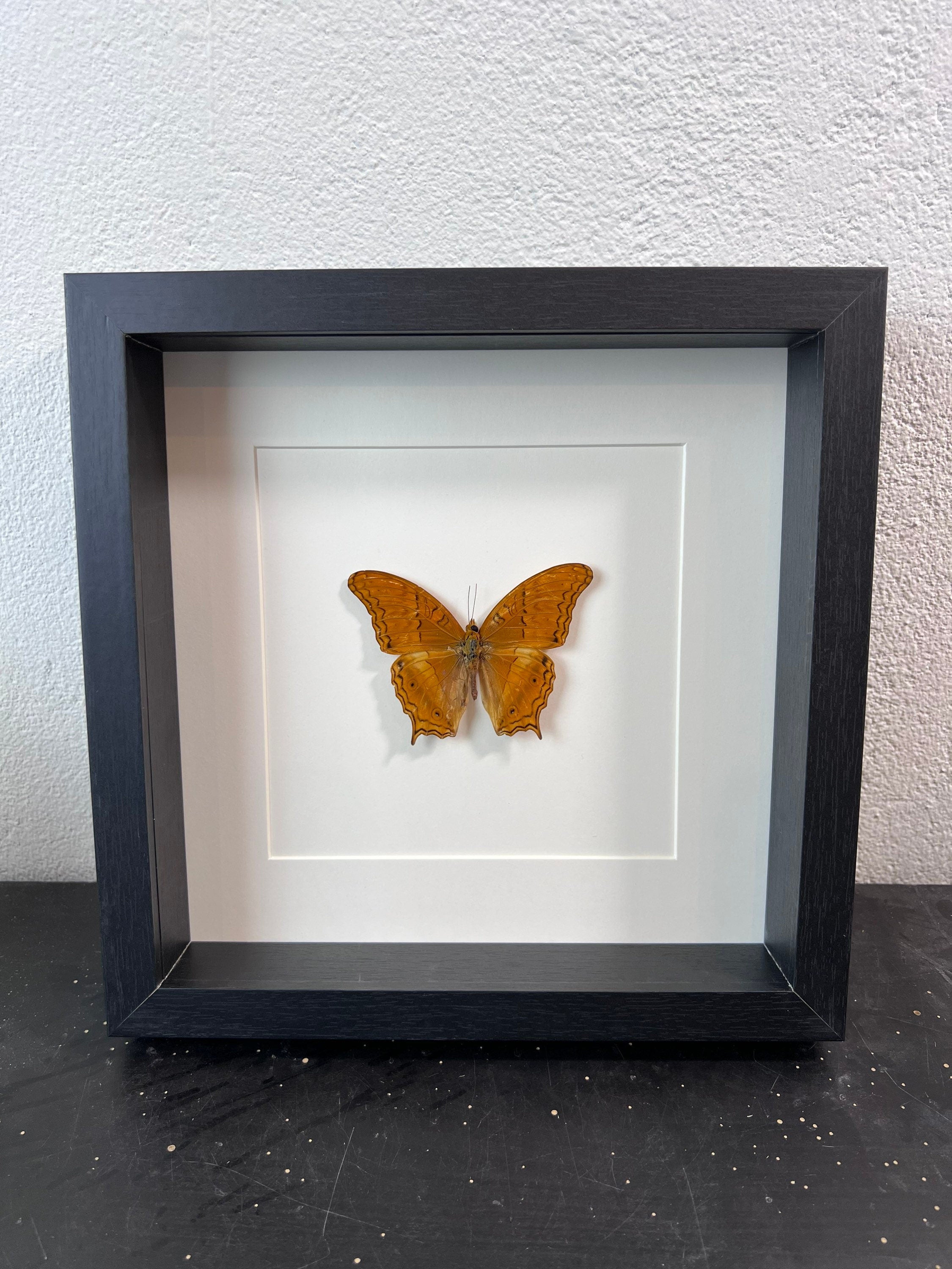 Vindula Dejone dans un cadre