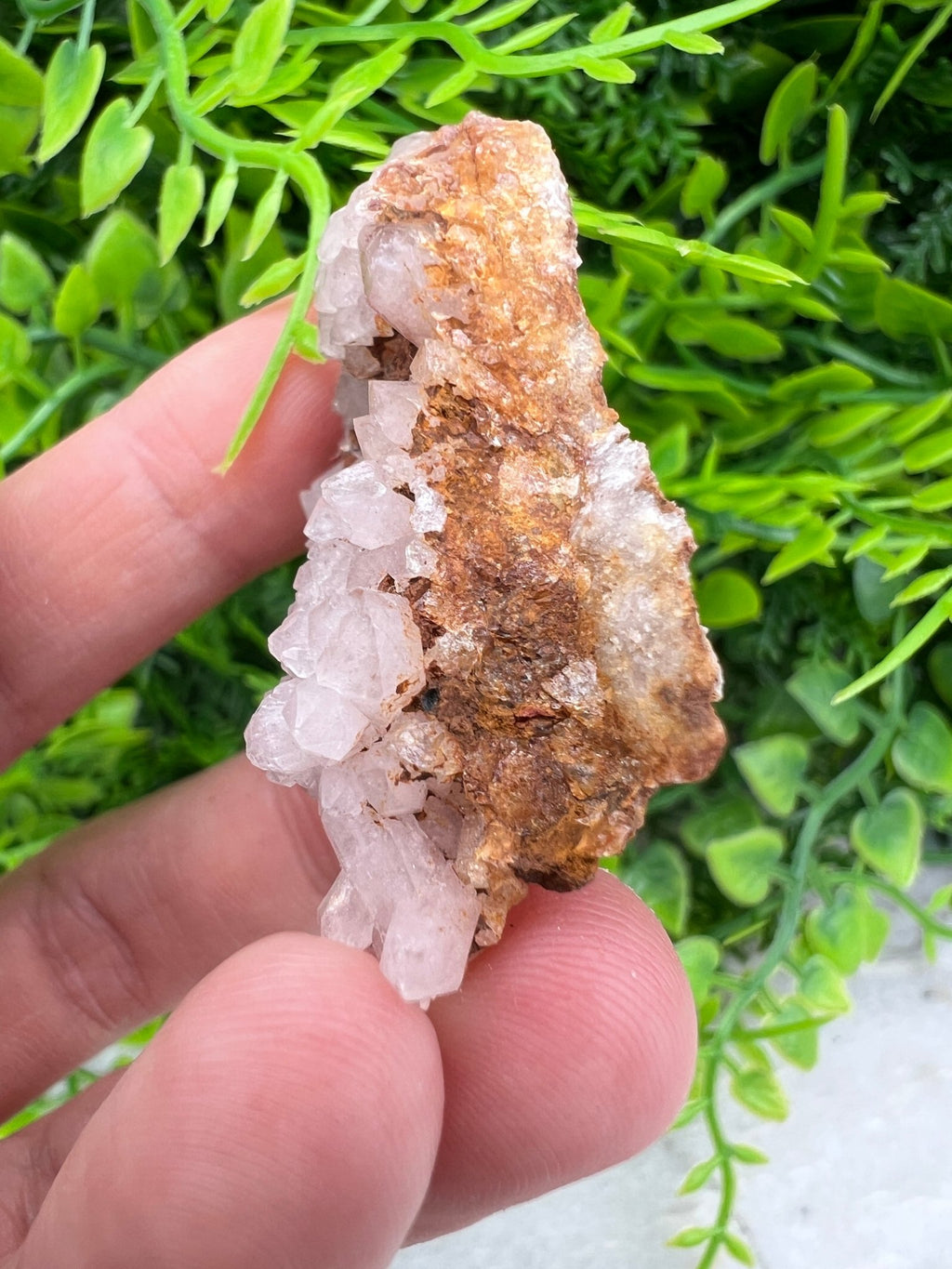 Rosa Amethyst-Cluster (4 cm) von KEY LIME STORE