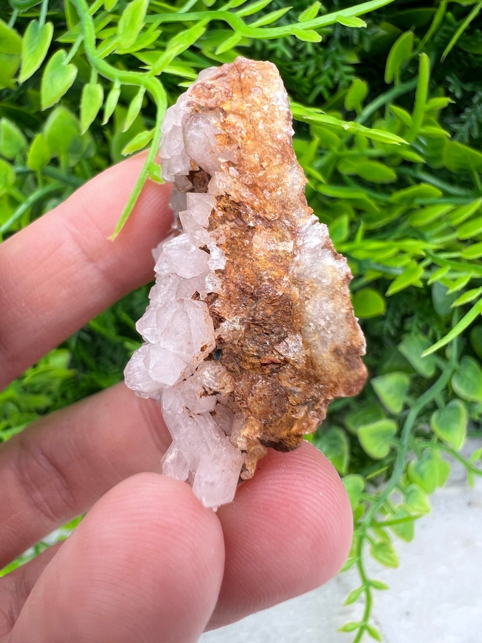 Rosa Amethyst-Cluster (4 cm) von KEY LIME STORE