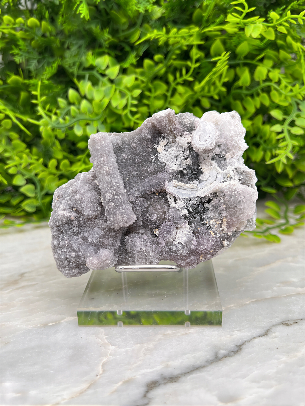 a clear glass display case holding a large, irregularly shaped crystal formation, which appears to be a type of rock or mineral. The crystal formation is surrounded by a variety of green foliage, creating a visually striking contrast between the natural and man-made elements.