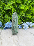 A close-up view of a green rock or stone, surrounded by lush green foliage and delicate blue flowers.