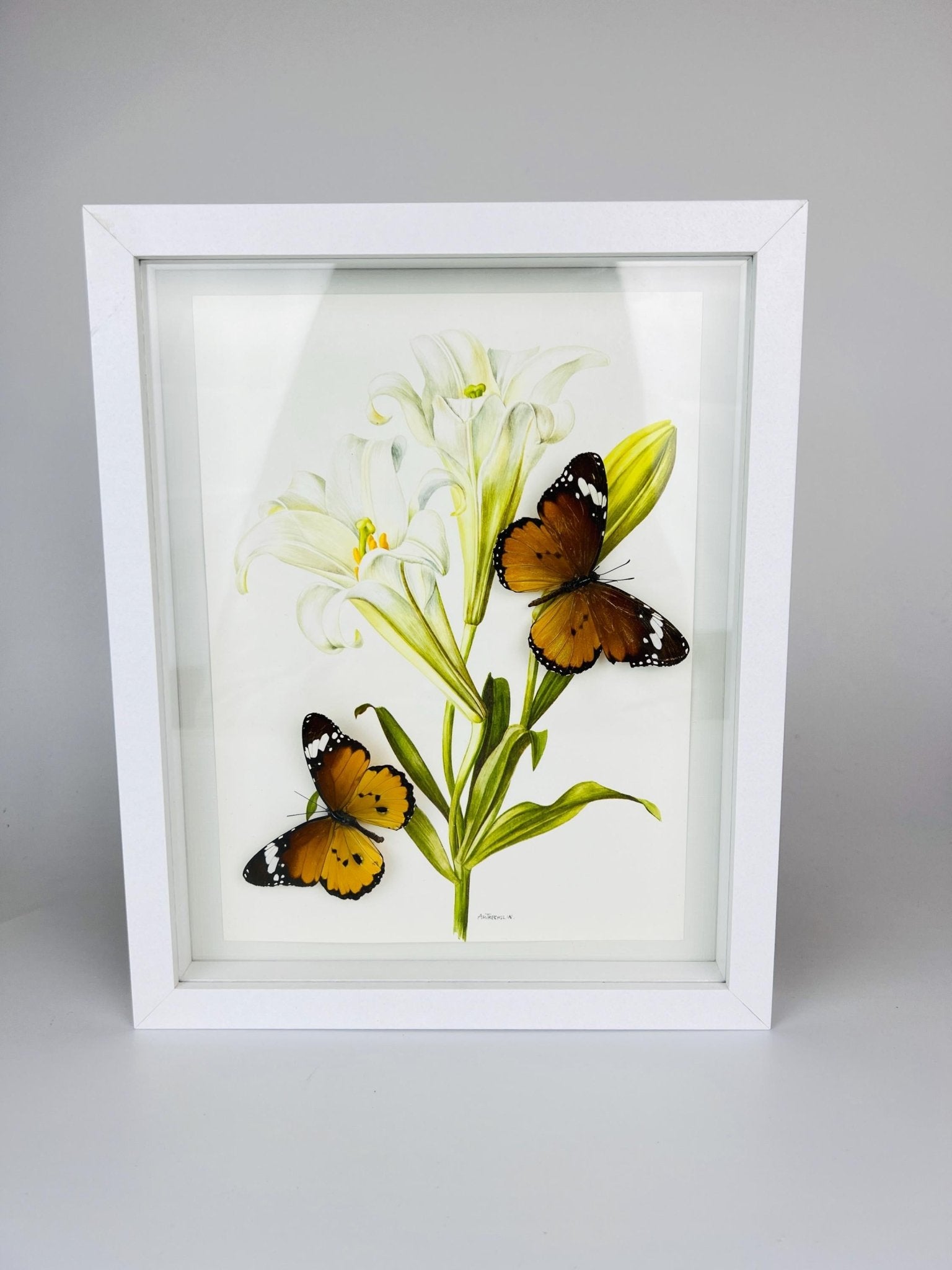 Danaus Chrysippus auf Vintage-Blumenmuster, gerahmt von KEY LIME STORE