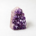A clear crystal with numerous small purple crystals embedded in it, set against a white background.