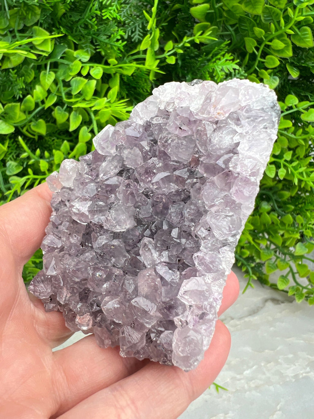 Amethyst-Cluster (6 cm) von KEY LIME STORE