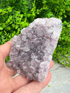 Amethist cluster (6 cm) by KEY LIME STORE