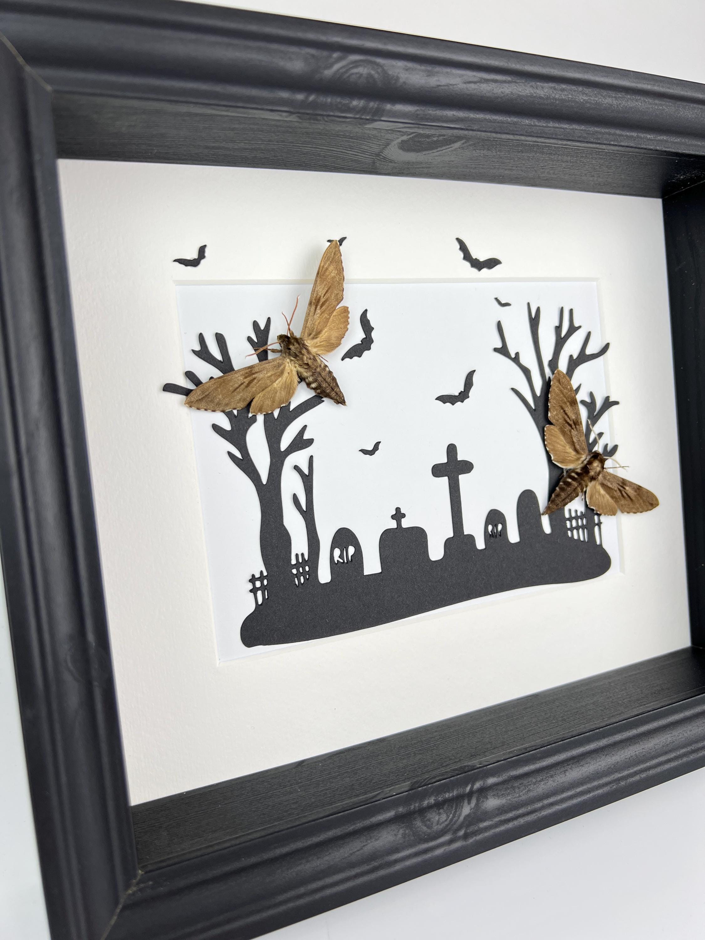 Sphinx Ligustri auf Halloween-Druck im Rahmen