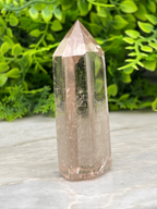 A clear quartz crystal sits on a white surface, surrounded by lush green foliage.