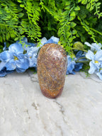 a close-up view of a rock or shell resting on a white surface, surrounded by lush green foliage and delicate blue flowers.