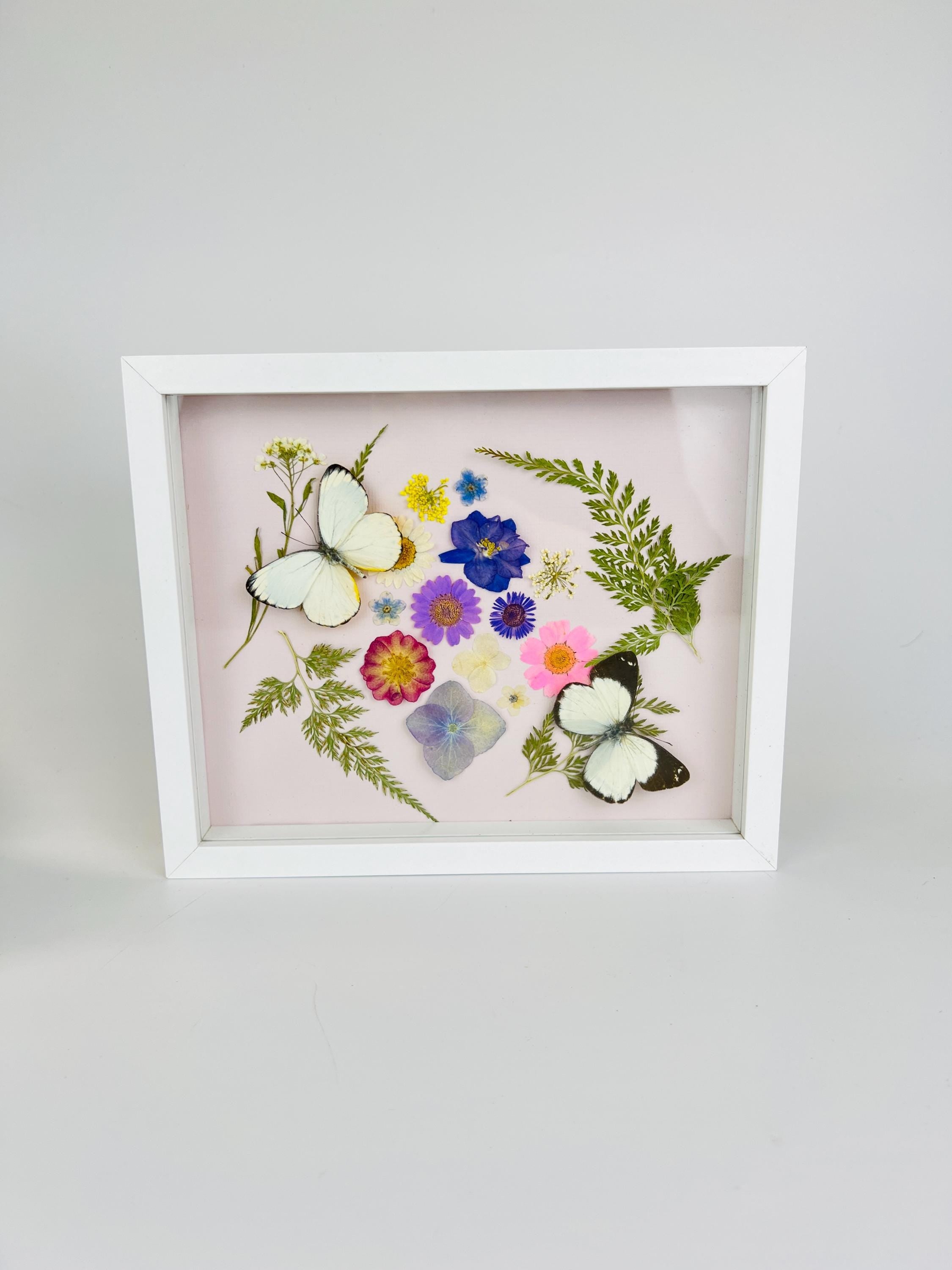 Weiße Schmetterlinge mit Trockenblumen in einem Rahmen