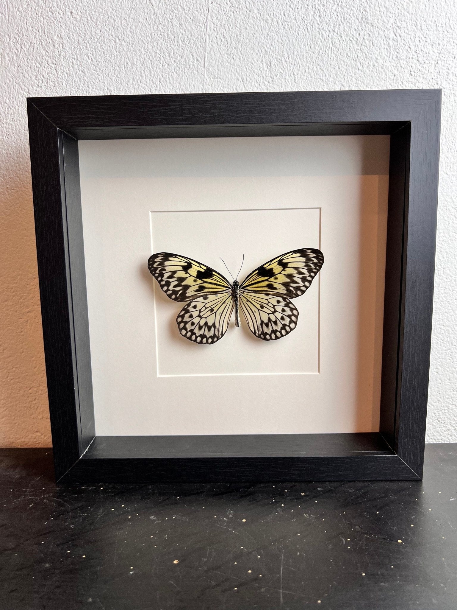 Idea Leuconoe in lijst by KEY LIME STORE