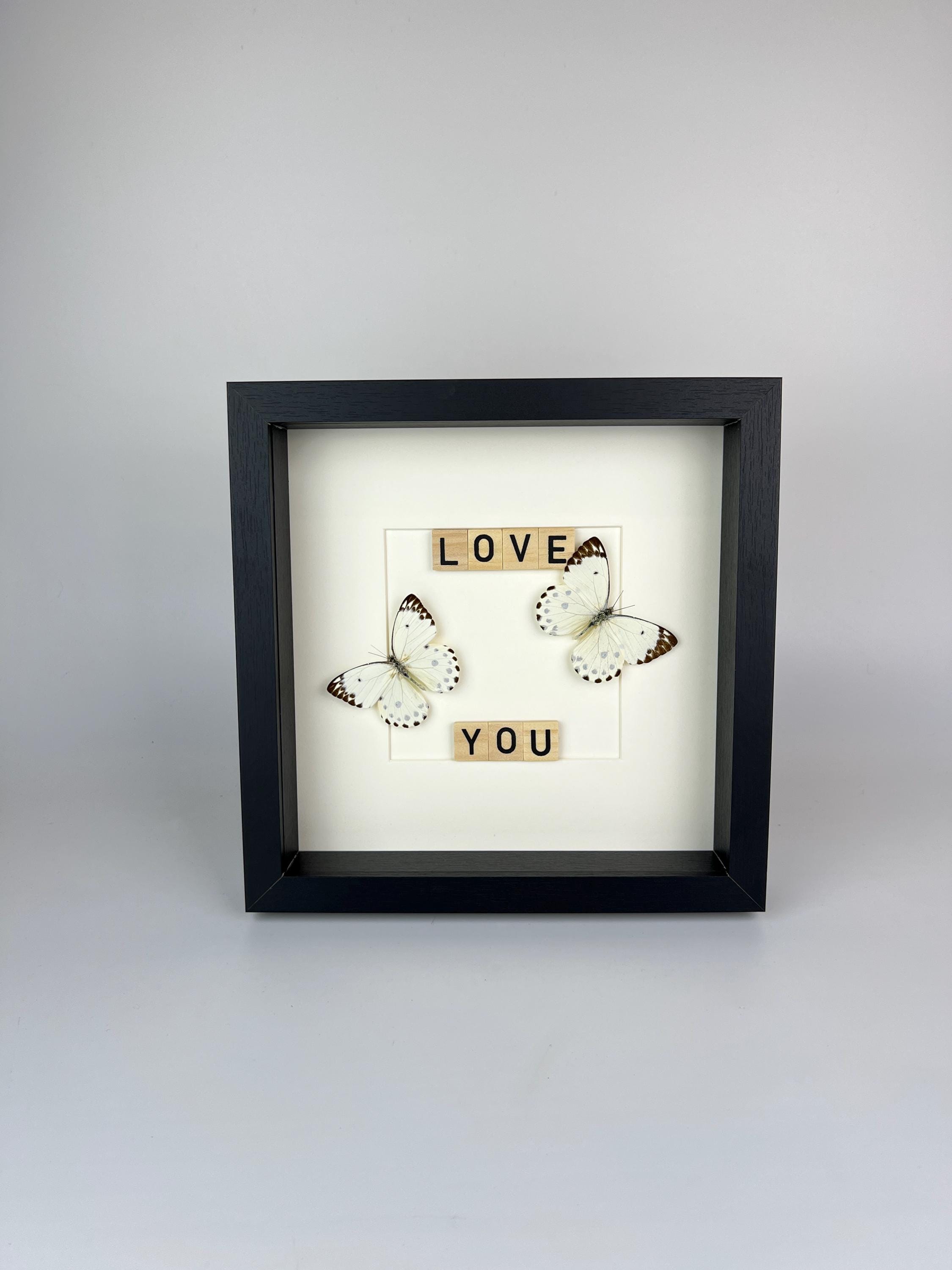 Hebemoia Leucippe-Schmetterling im Rahmen