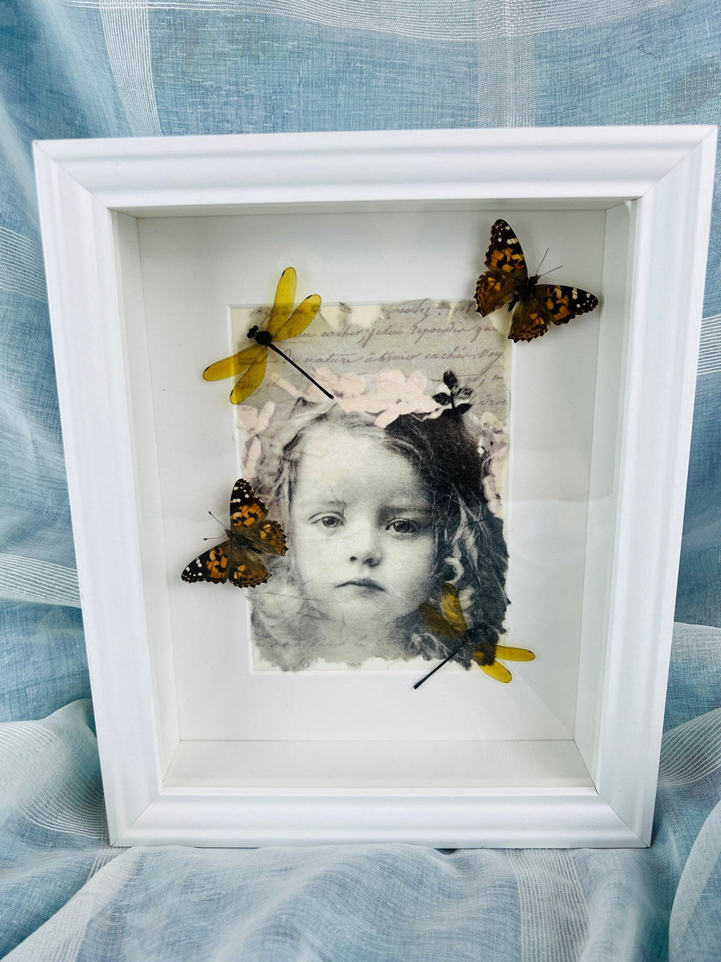 Vanessa Cardui und Libelle als Druck in einem Rahmen von KEY LIME STORE