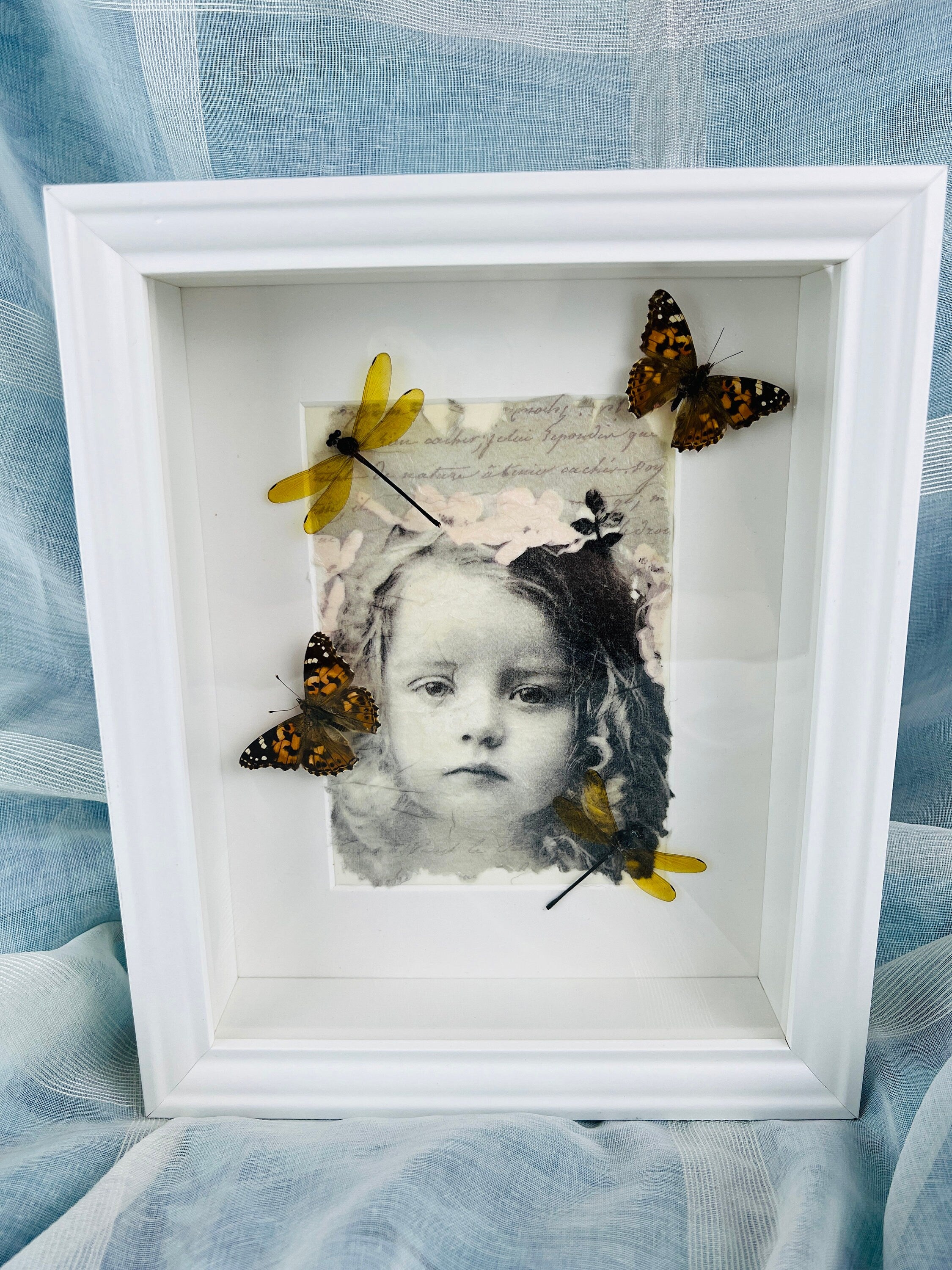 Vanessa Cardui en libelle op print in lijst