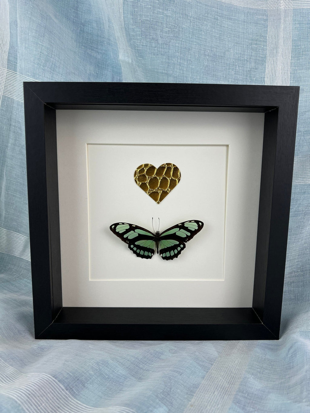 Philaethria Dido und ein goldenes Lederherz in einem Rahmen von KEY LIME STORE