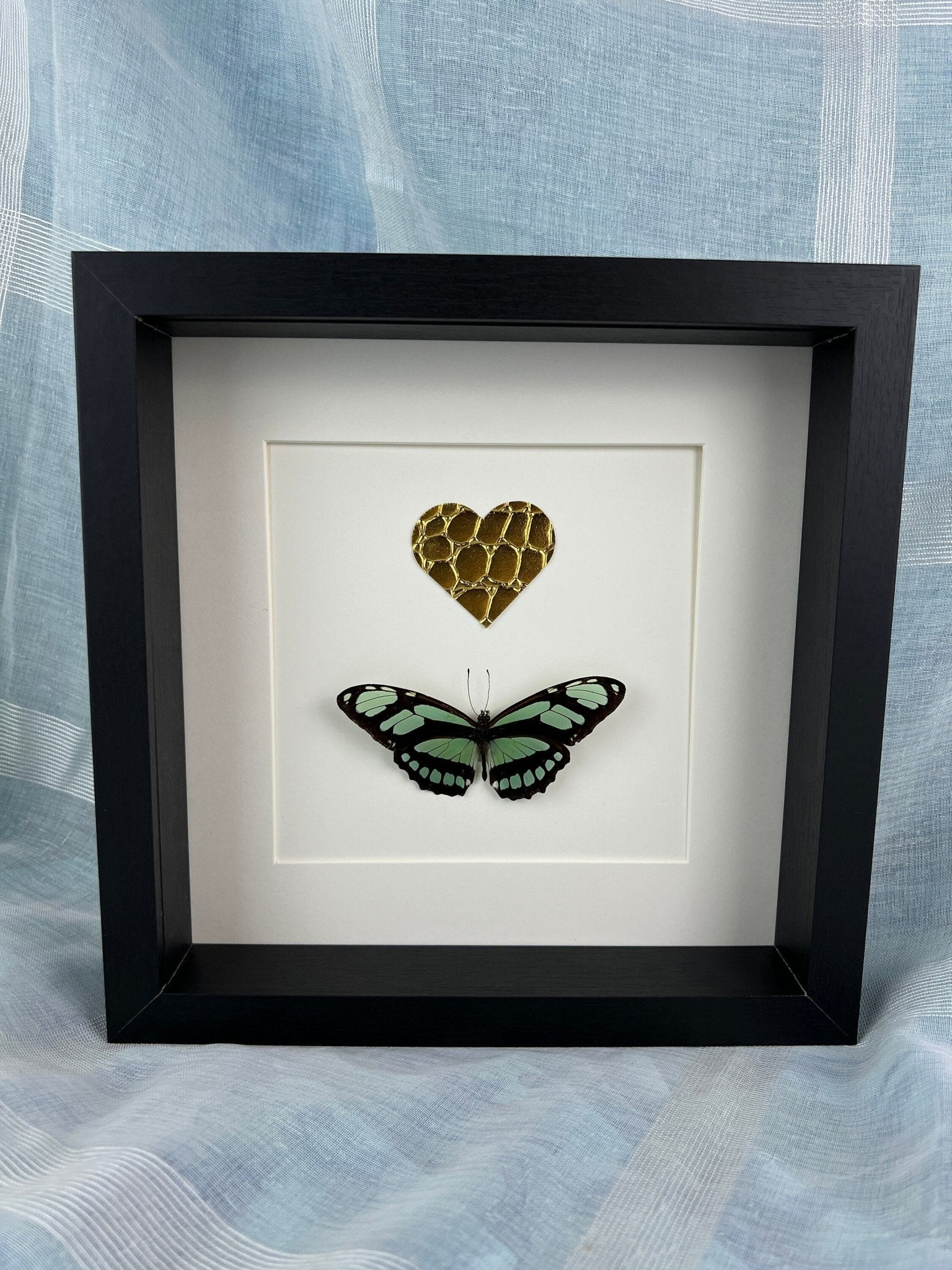 Philaethria Dido und ein goldenes Lederherz in einem Rahmen von KEY LIME STORE