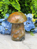 a close-up view of a rock formation with a mushroom-like shape, surrounded by blue flowers and green foliage.