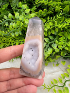 A hand is holding a clear geode with a slice of rock visible inside, set against a backdrop of green foliage.
