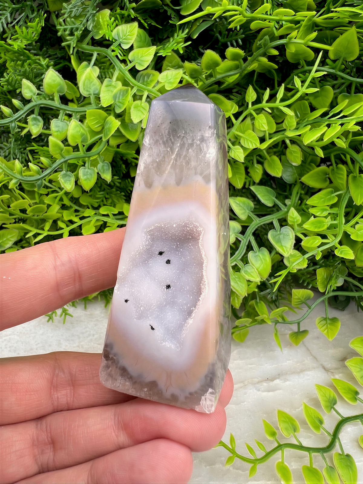 A hand is holding a clear geode with a slice of rock visible inside, set against a backdrop of green foliage.