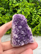 Amethist cluster cut base
