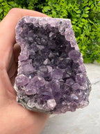 Amethist cluster cut base