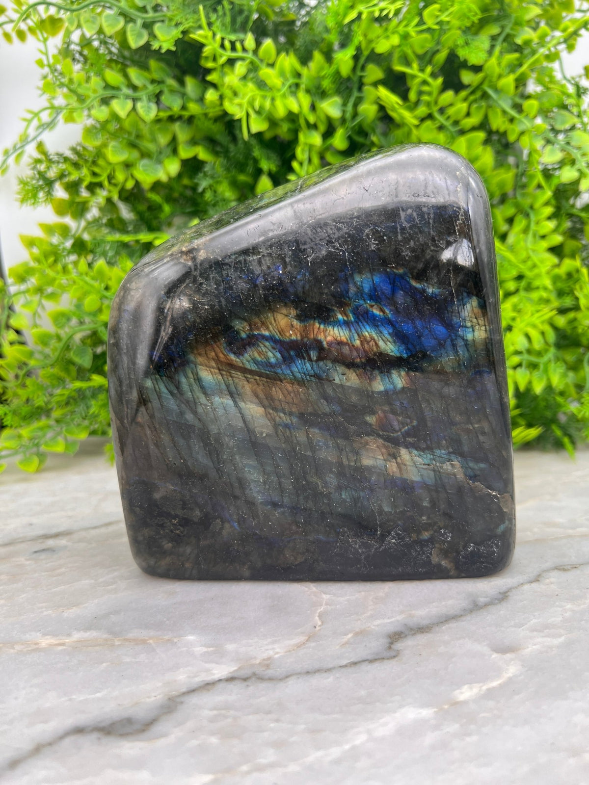 Labradoriet sculptuur by KEY LIME STORE