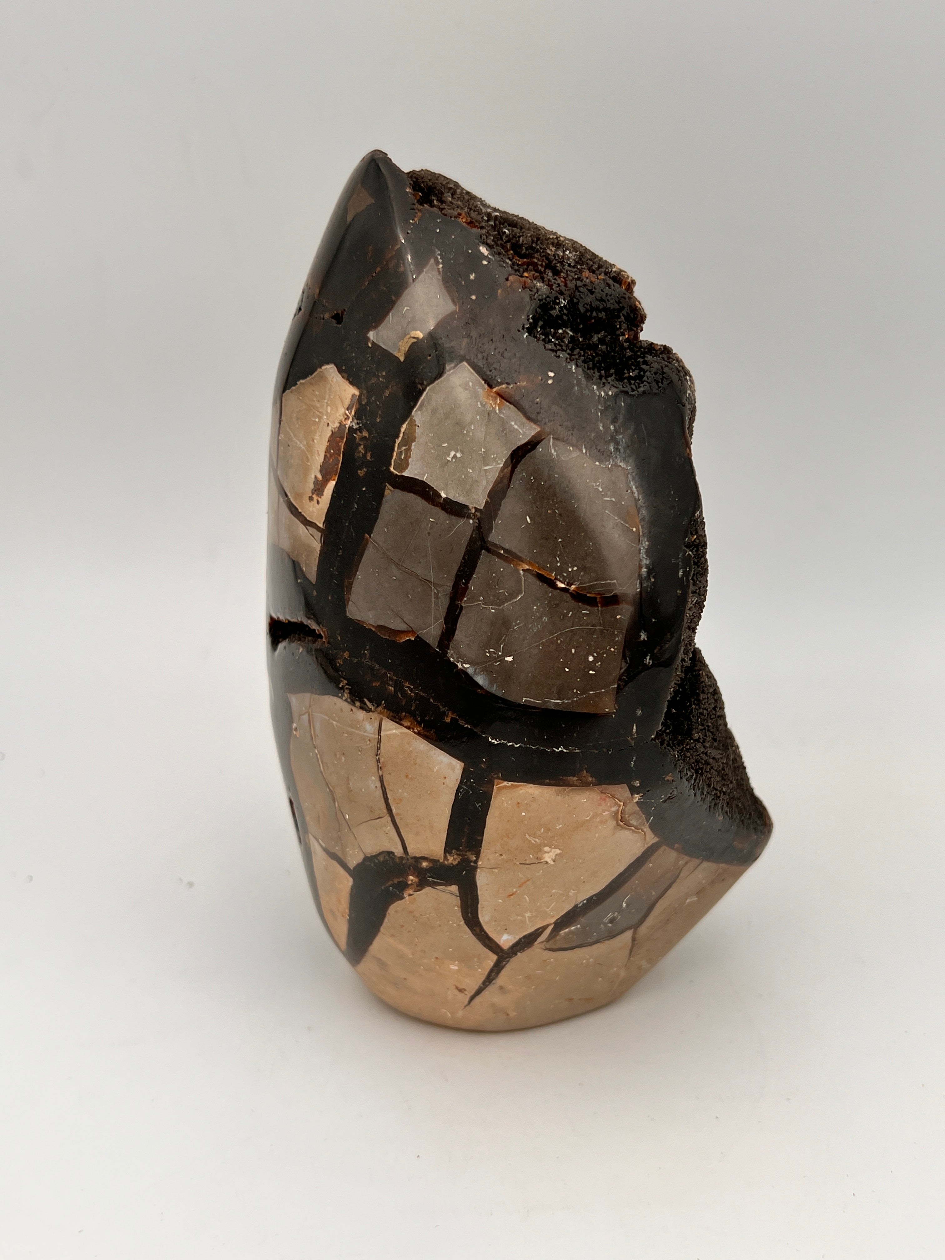 Septarie ei cutbase (drakenei) 1.18 kg