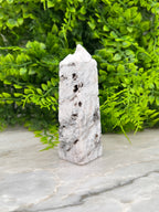 Witte Pluim Agaat toren