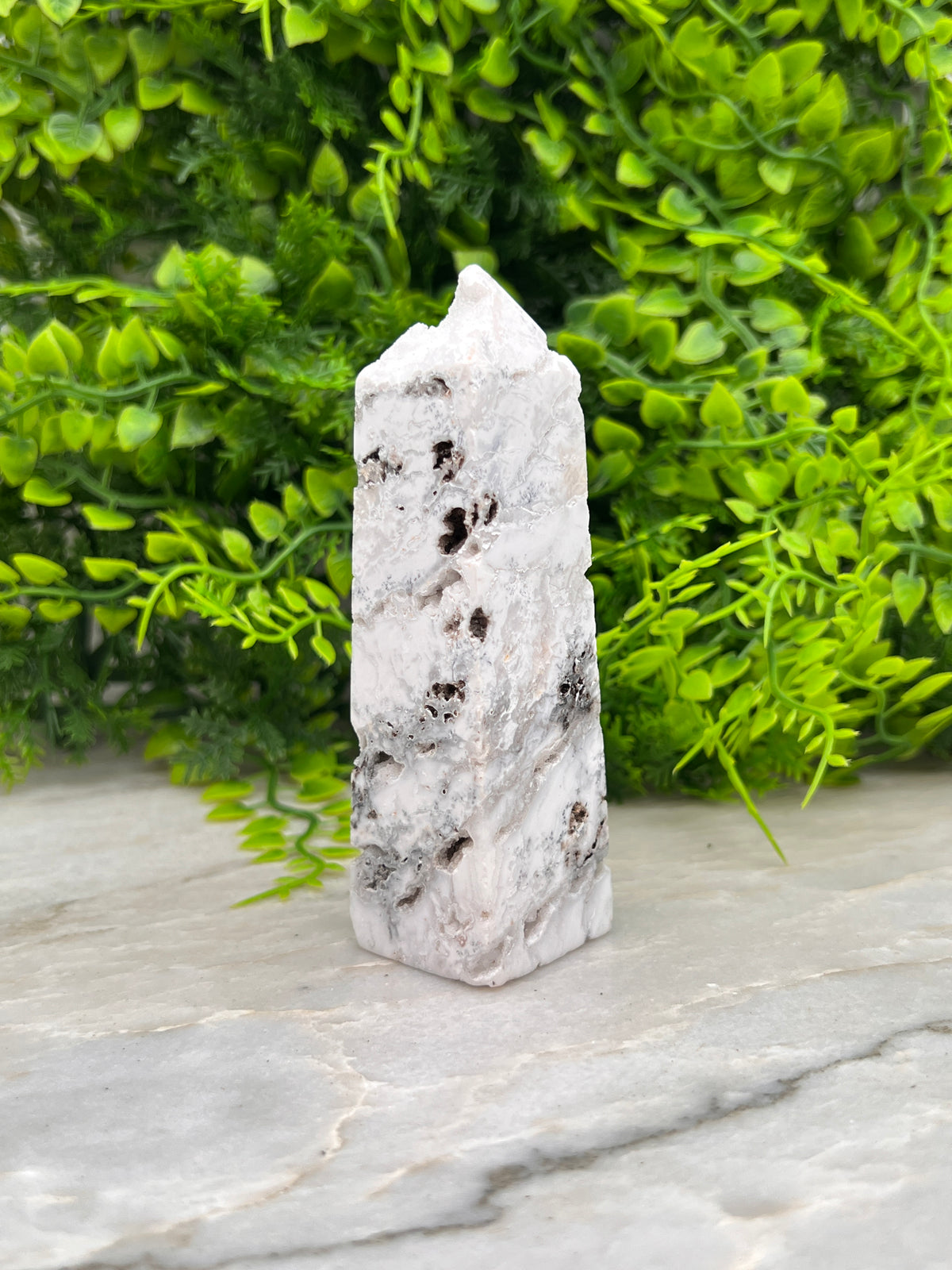 Witte Pluim Agaat toren