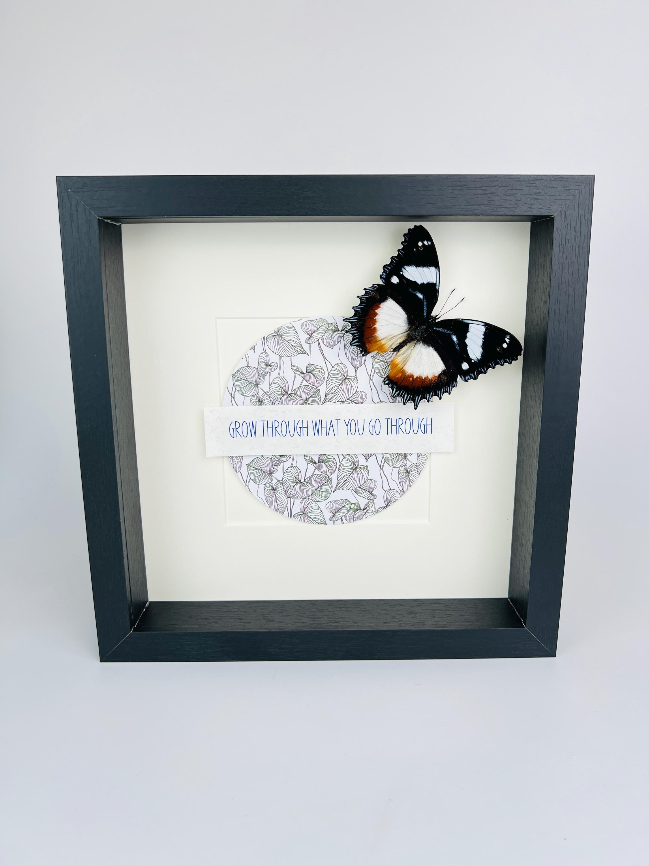 Hypolimnas Dexithea met tekst in lijst