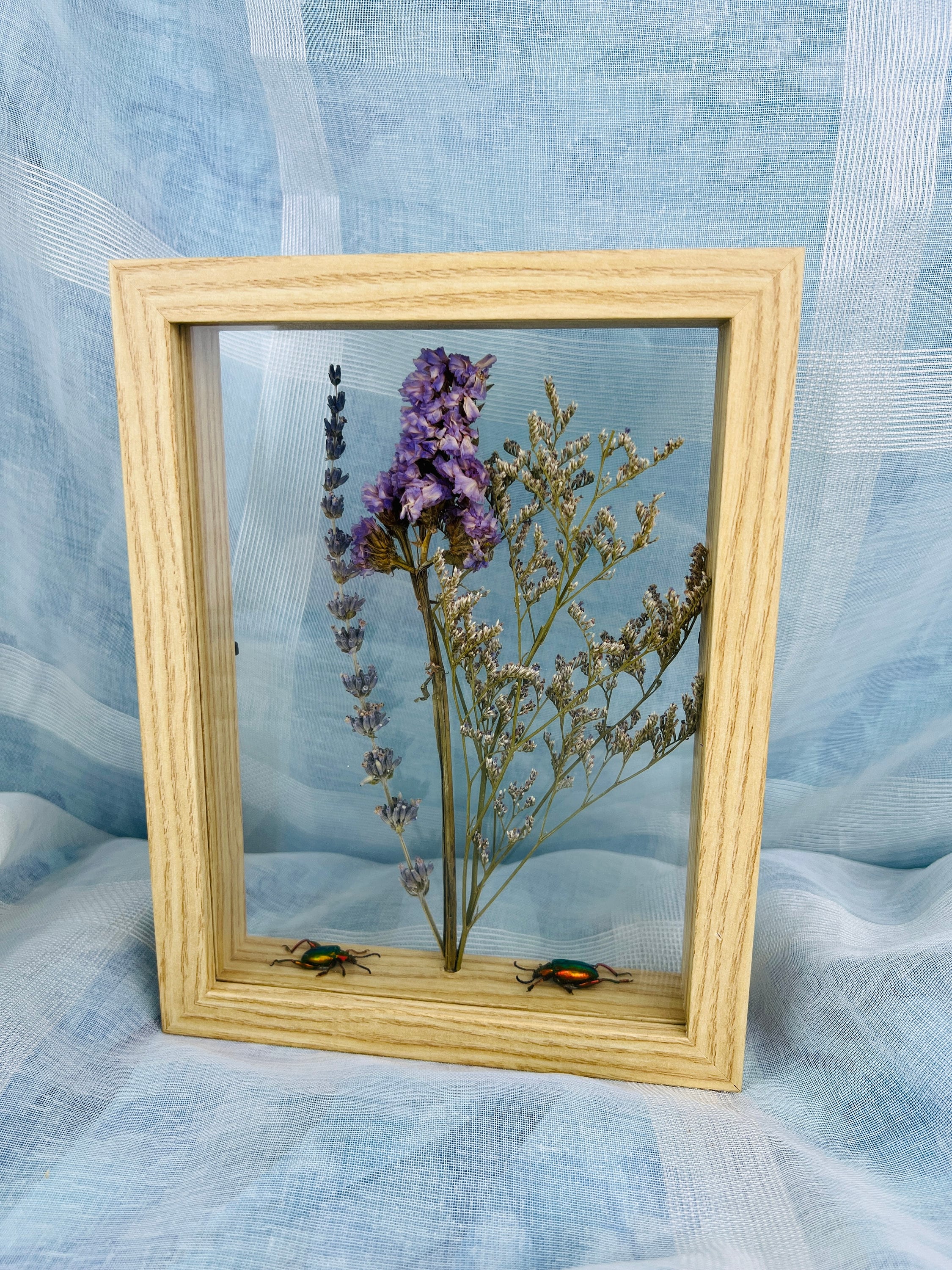 Echte insecten | Dubbelglas houten lijst met kevers en droogbloemen (22x17cm)