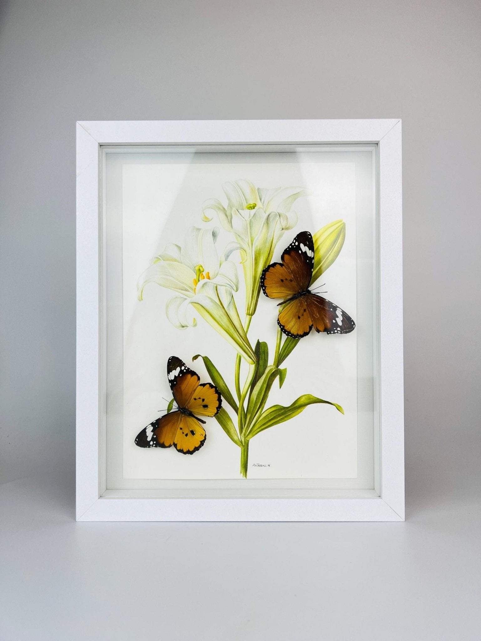 Danaus Chrysippus op vintage bloemenprint in lijst by KEY LIME STORE